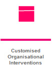 Customised Organisational Interventions